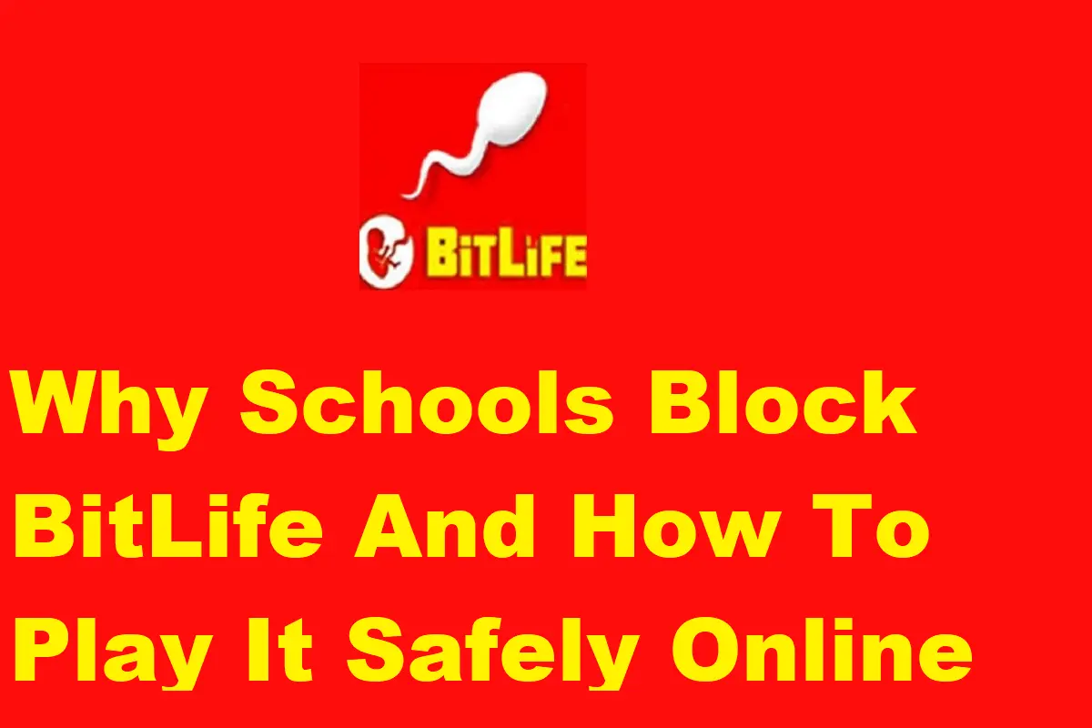 Why Schools Block BitLife And How To Play It Safely Online?